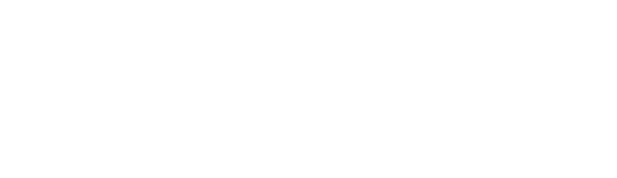 MAGNI Premier